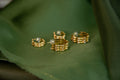 Bamboo Hoop Earring